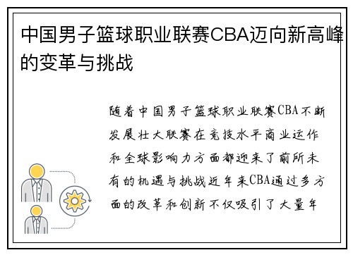 中国男子篮球职业联赛CBA迈向新高峰的变革与挑战