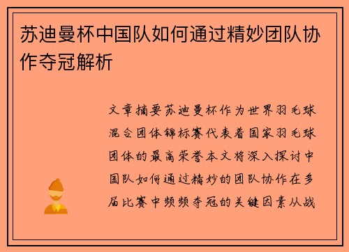 苏迪曼杯中国队如何通过精妙团队协作夺冠解析